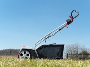 Lawn Aeration