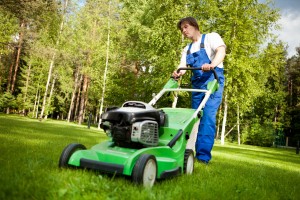 Lawn Care Services