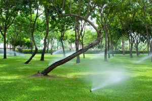 Lawn Sprinkler System