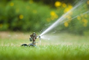 Sprinkler Winterize or Activate