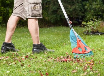 Fall or Spring Cleanup